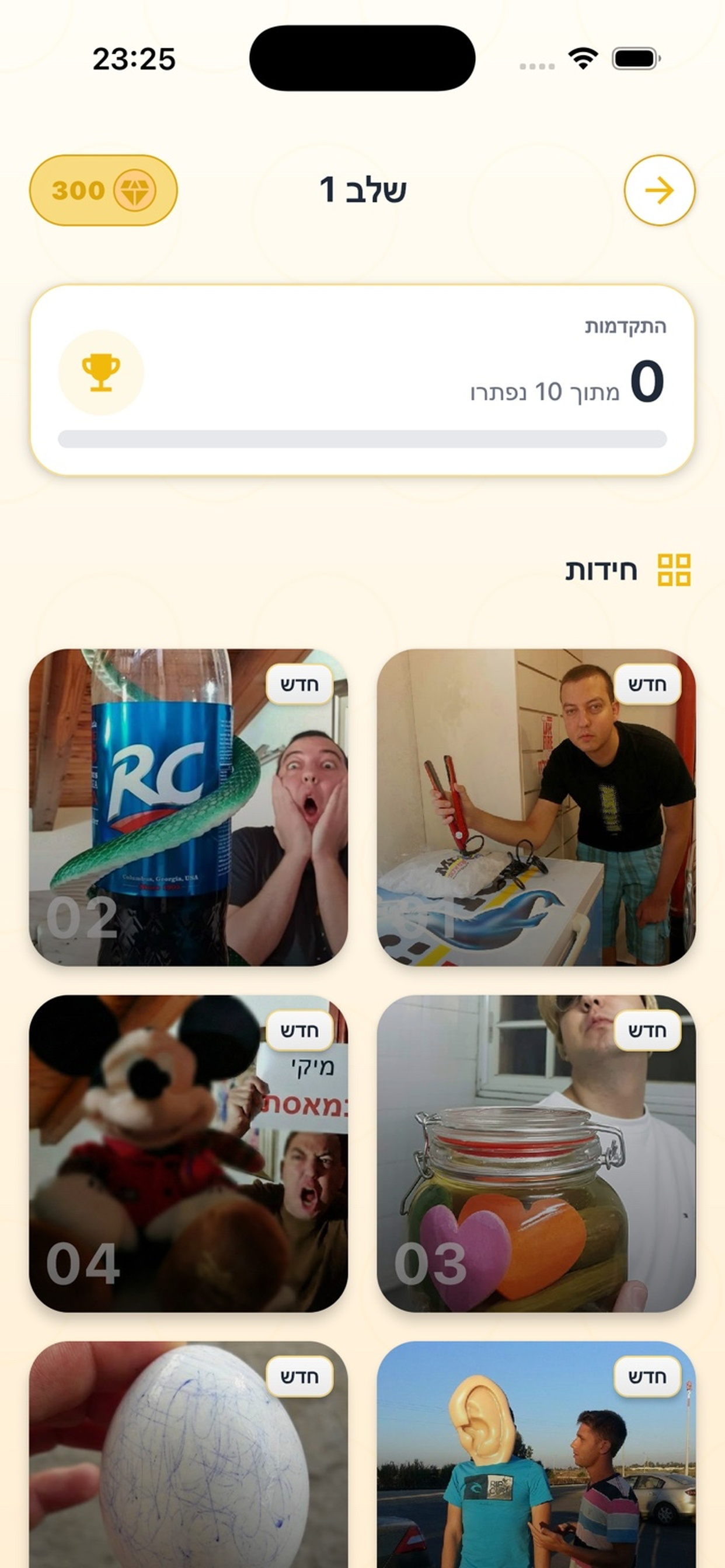 תוכן השלב — חידות לפתרון
